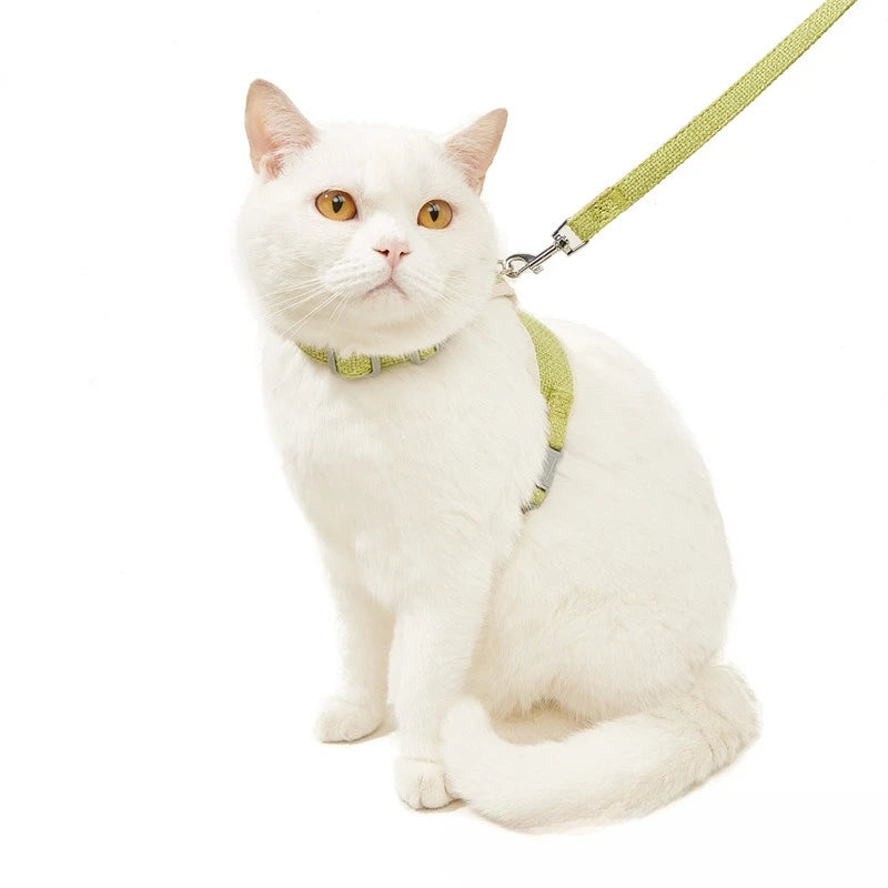 White cat wearing a green harness and leash on a white background