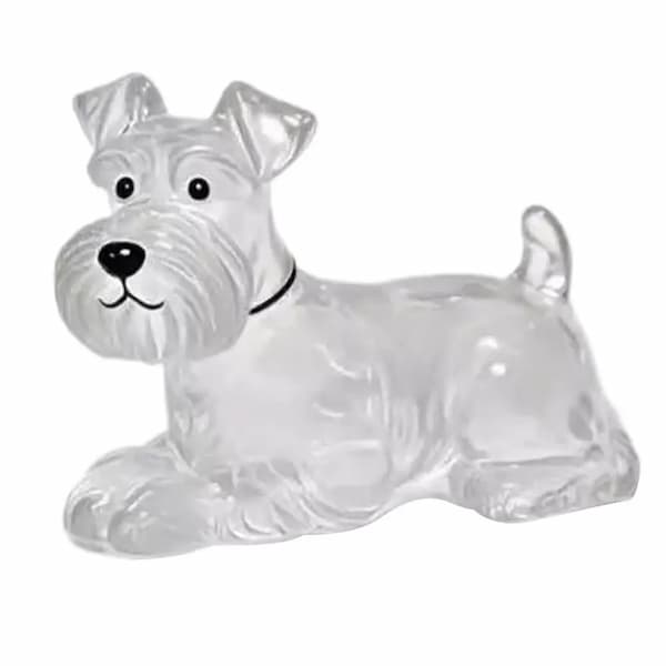 transparent dog keychain pet fur keepsake capsule cute pet memory keychain storage bottle