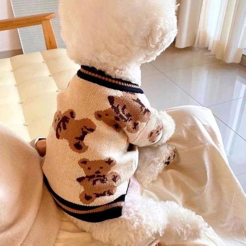 Pet wearing a luxury striped cardigan sweater with classic pattern, providing warmth and style.