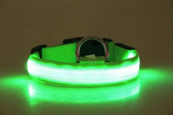 Colorful LED glowing pet collar designed for nighttime safety for dogs and cats