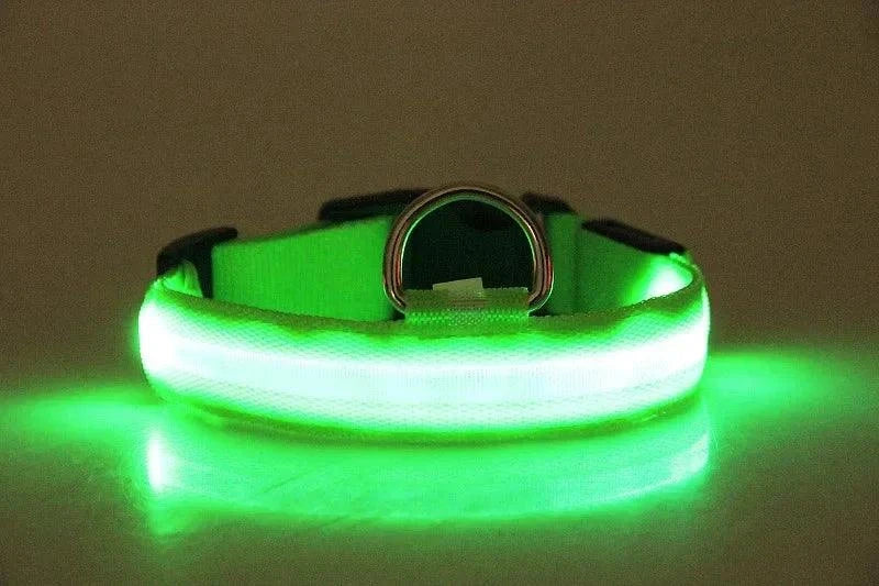 LED Nylon Dog and Cat Collar | Glow-in-the-Dark Safety Accessory for Night Walks