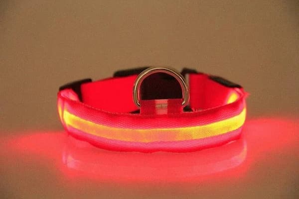 Colorful LED glowing pet collar designed for nighttime safety for dogs and cats