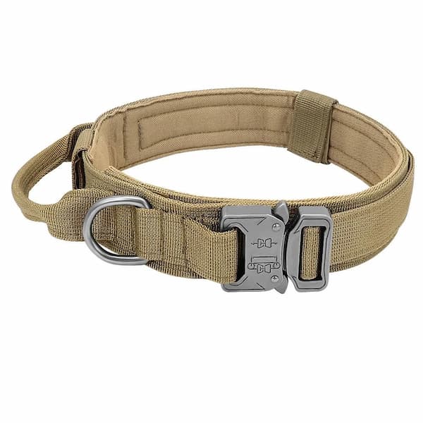Tan tactical dog collar with a metal buckle on a white background