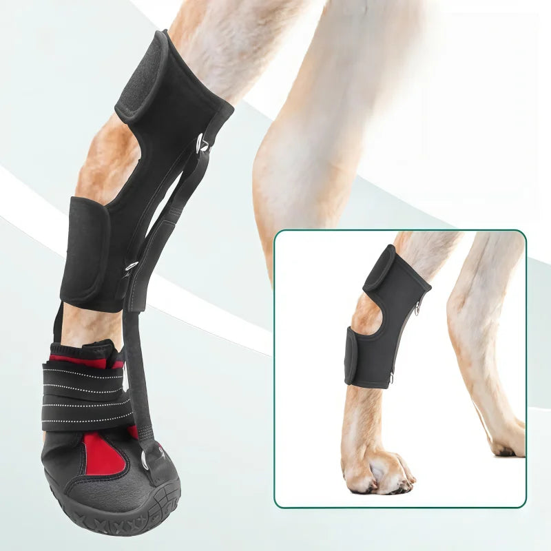 Black protective boot on a dog's paw with a close-up inset, on a light gray background
