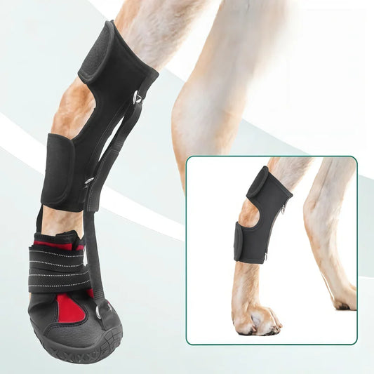 Black protective boot on a dog's paw with a close-up inset, on a light gray background