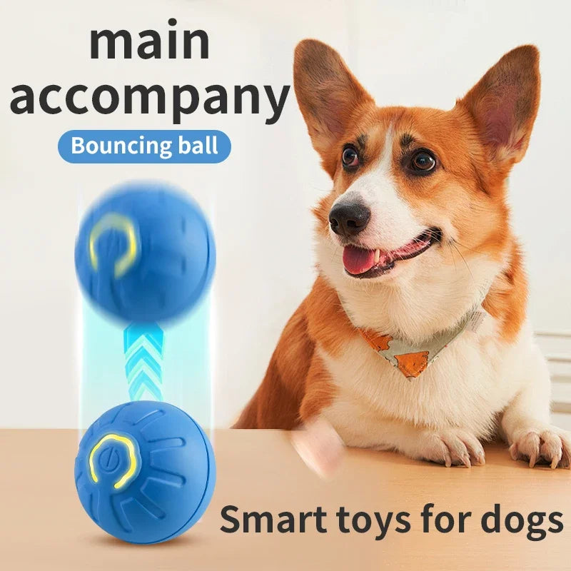 Electronic Smart Dog Toy Ball | Electronic Dog Ball | Jo's Pet Deal's