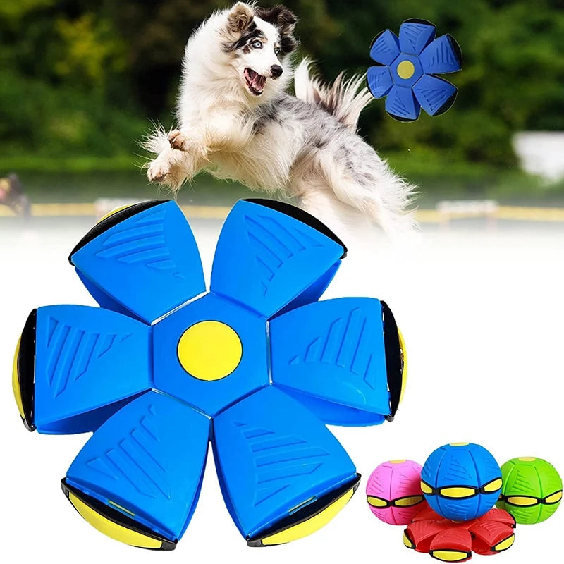 Dog Toys Magic Funny Pet Toy Flying Saucer