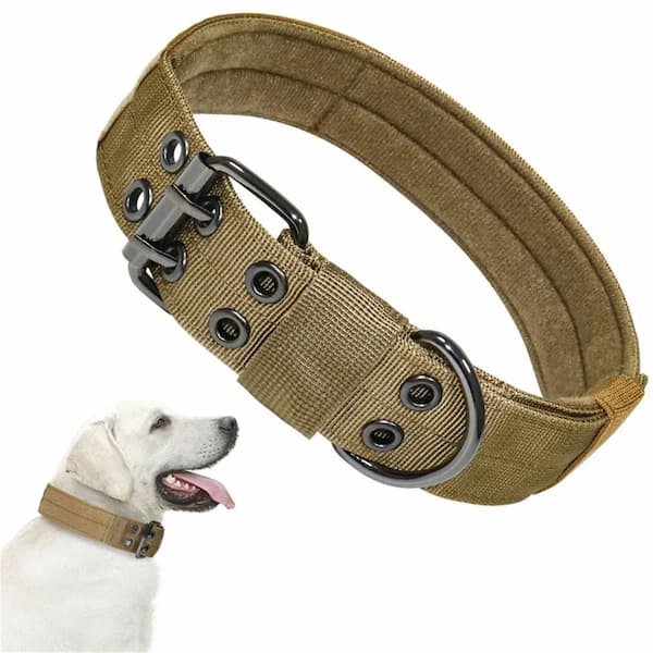 Brown dog collar with metal buckle on a white background