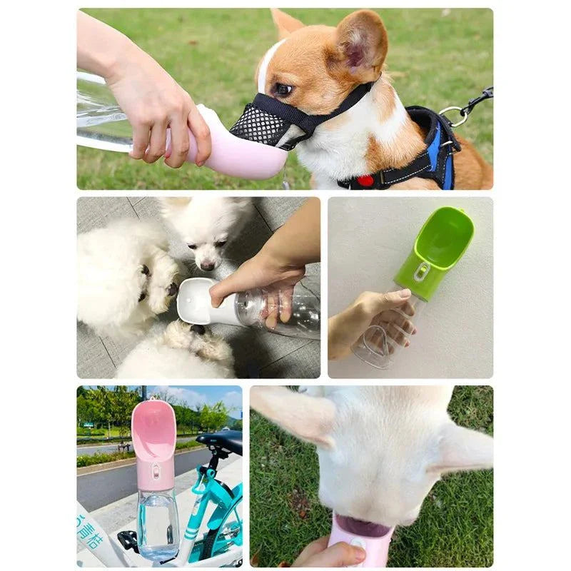 Portable dog water bottle and food bowl, ideal for outdoor travel, hikes, and road trips, leak-proof and lightweight design.