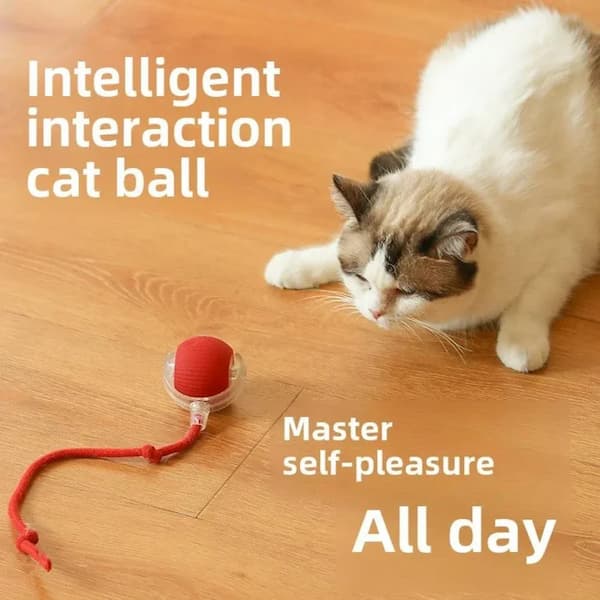 Cat playing with a red ball toy on a wooden floor