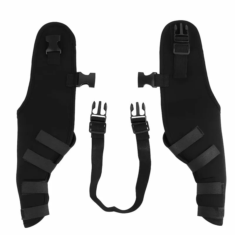 Dog wearing rear leg support brace – black adjustable wrap for mobility and joint comfort

