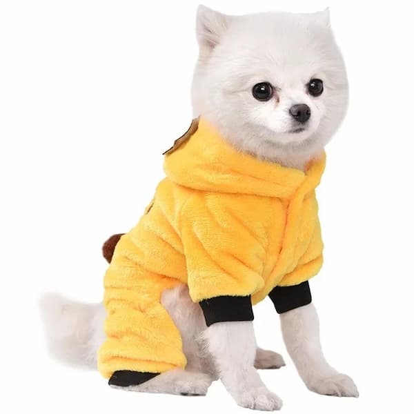 Winter pet jumpsuit outfit for French Bulldog