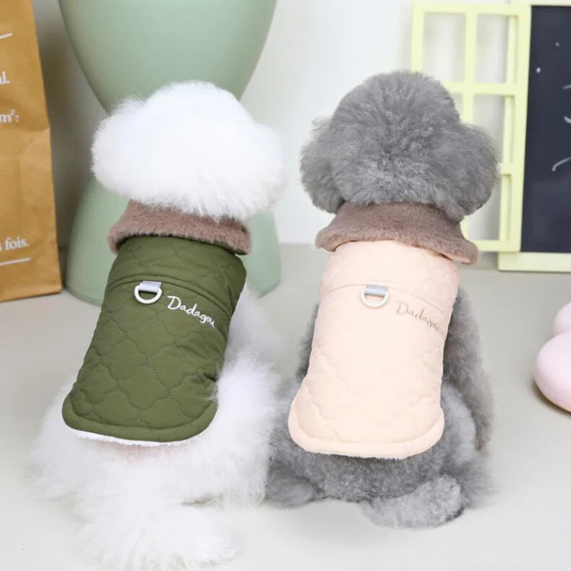 Small white dog wearing a waterproof winter dog jacket with fur collar