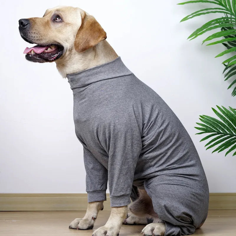 Large dog wearing grey recovery suit – soft post-surgery bodysuit for dogs