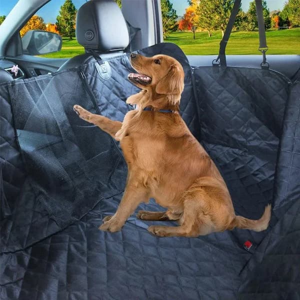 Dog sitting on a black car seat cover with a car and outdoor scenery in the background