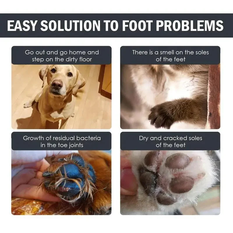 Four panels showing a dog, close-up of paw, paw with blue bandage, and dry cracked paw with text about foot problems.
