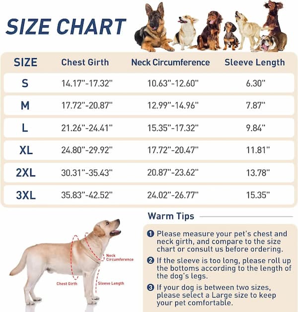 Dog size chart with measurements and corresponding dog illustrations.