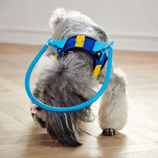 protective halo collar for visually impaired pets