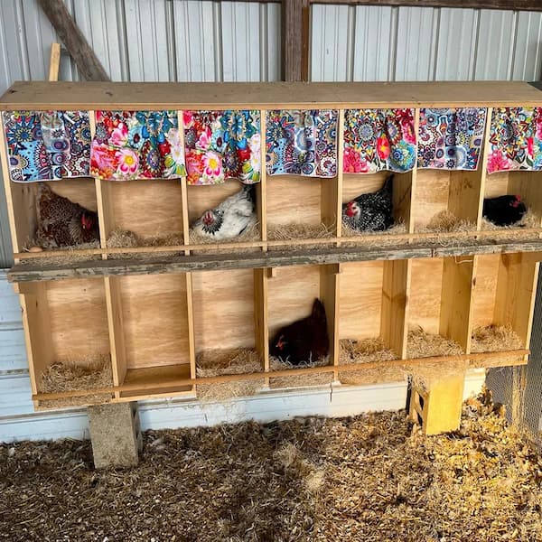natural chicken nesting box liner mat for chicken coop egg laying nest box with hen and eggs