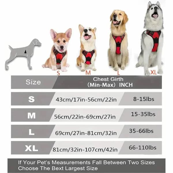 Dog harness size chart with dogs of different sizes wearing the harnesses.