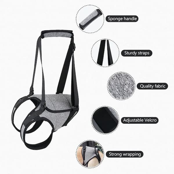 dog lift harness for back legs