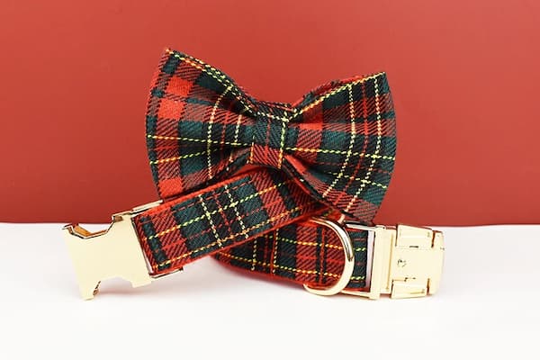 Plaid bow tie and collar set on a red background