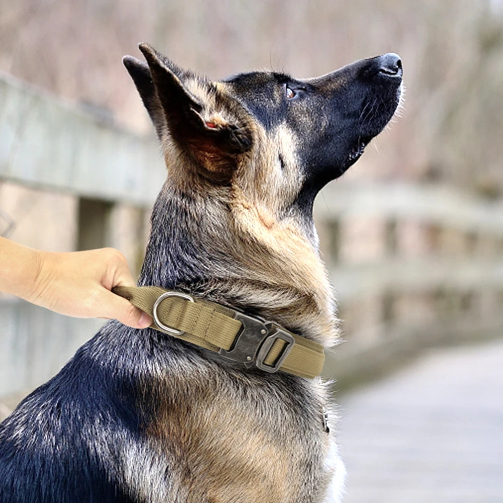 Durable Tactical Dog Collar | Military Pet Collar Set |Jo's Pet Deal's