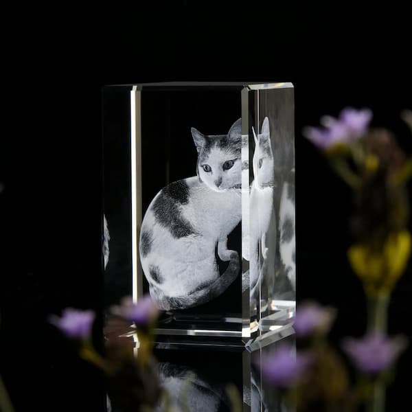 Crystal block with a cat inside, surrounded by flowers on a dark background
