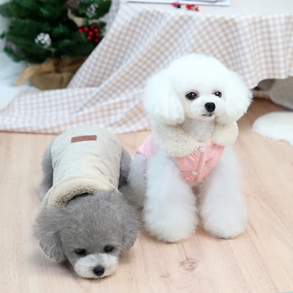 Quilted winter dog jacket with faux fur collar in beige, green and pink colours