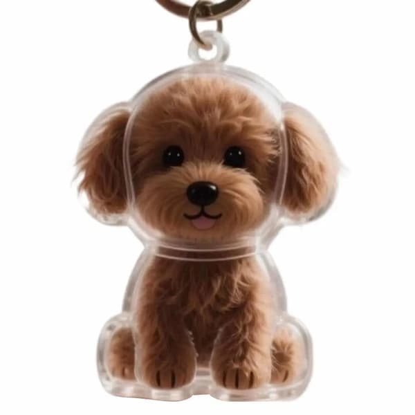 transparent dog keychain pet fur keepsake capsule cute pet memory keychain storage bottle