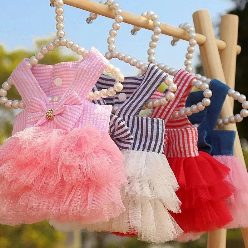 Cute Chihuahua princess pet summer dresses with lace skirts hanging on display.