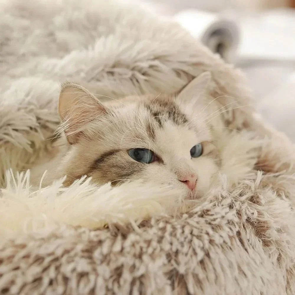 Cozy plush pet bed with a cat nestled inside, designed for small dogs and cats, featuring a soft, round sleeping nest with a cave-style opening.