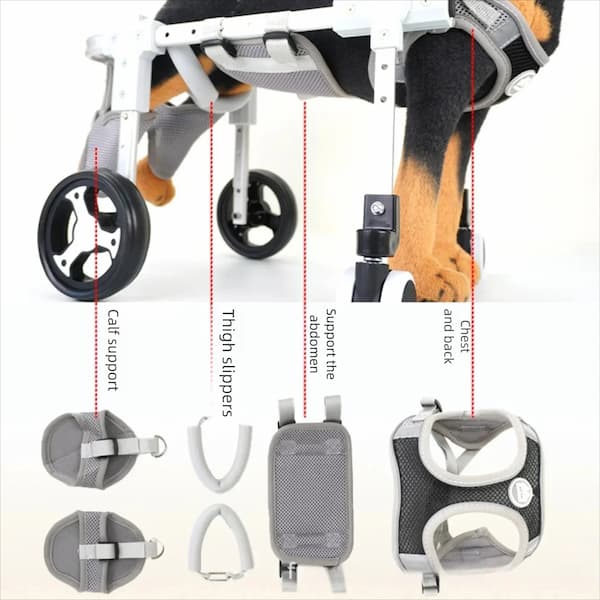 Dog wheelchair with labeled parts on a white background