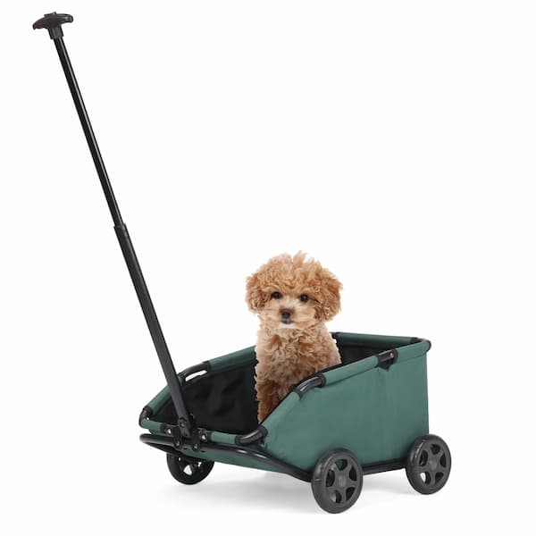 Small dog sitting in a green pet stroller on a white background