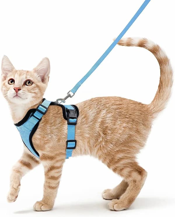 escape proof cat harness leash set adjustable breathable vest harness for cats outdoor walking