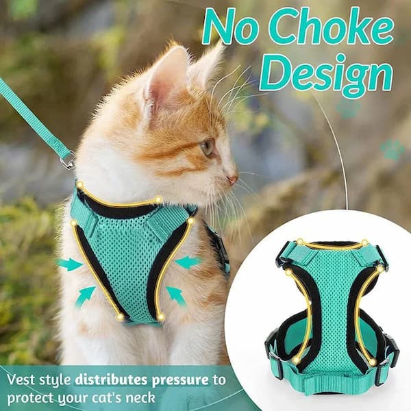 Cat wearing a teal harness with 'No Choke Design' text and close-up inset.