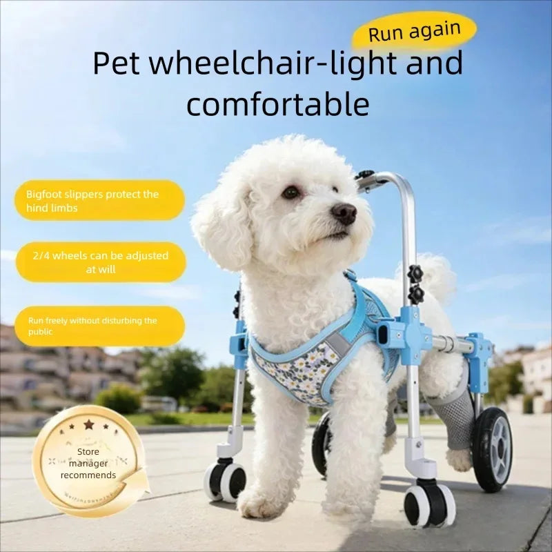 White dog using a pet wheelchair with text highlighting features on a clear day.