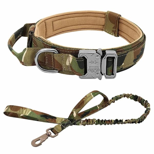 Camouflage dog tactical  collar and leash set on a white background