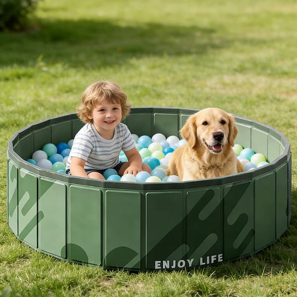 Child and dog playing in a green inflatable pool with colorful balls on grass
