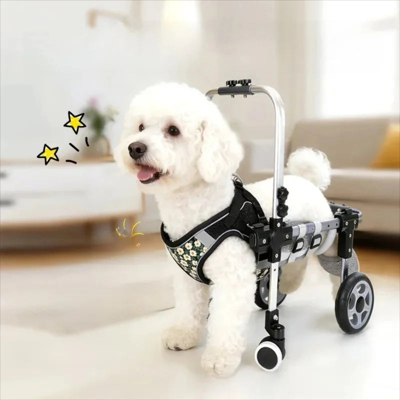 White dog using a pet wheelchair indoors