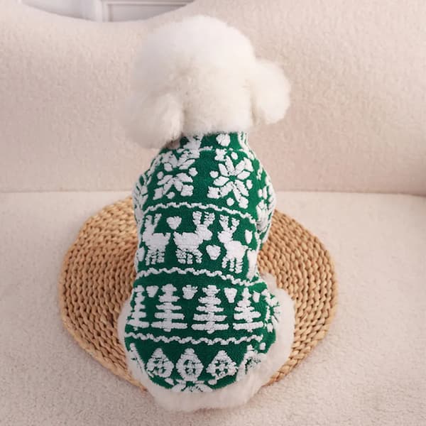 Small dog wearing a green and white knitted sweater with deer pattern on a beige couch.