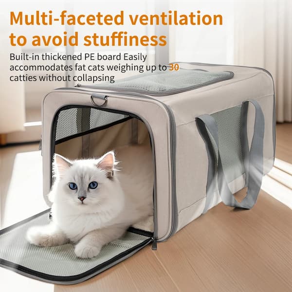 Cat lying inside a pet carrier with text about multi-faceted ventilation and capacity for fat cats.
