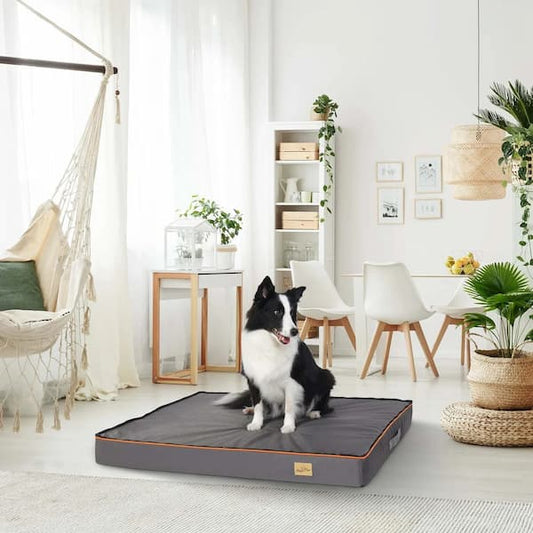 large orthopedic dog bed with memory foam support helping dog rest comfortably indoors