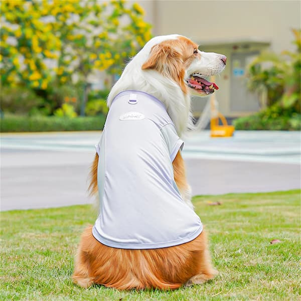 Dog wearing a gray cooling vest sitting on grass with a blurred background