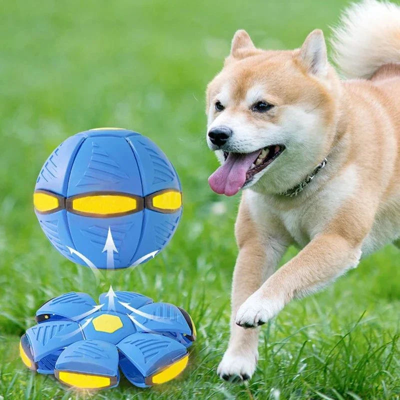 Dog Toys Magic Funny Pet Toy Flying Saucer for Dogs