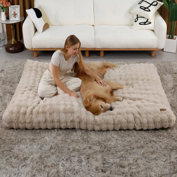 Golden retriever resting on a light blue thick plush orthopedic dog bed.