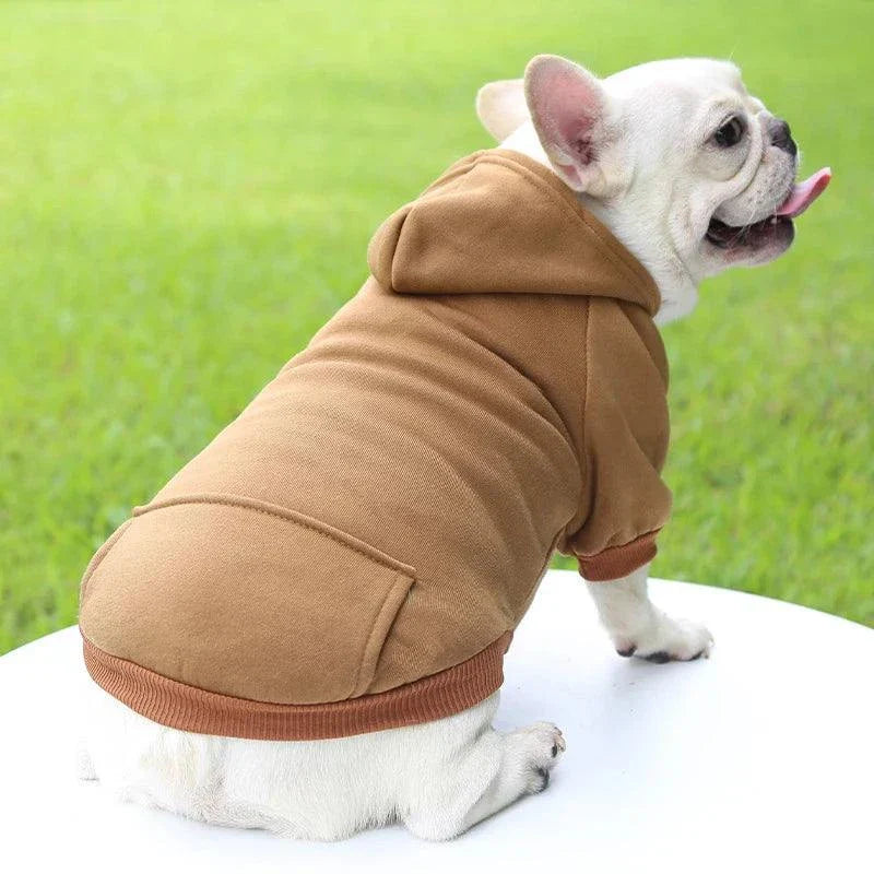 Small dog wearing a warm hooded sweater in brown, perfect for autumn and winter.