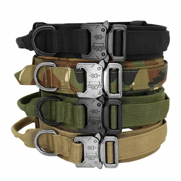 Four tactical dog collars in different colors with metal buckles on a white background