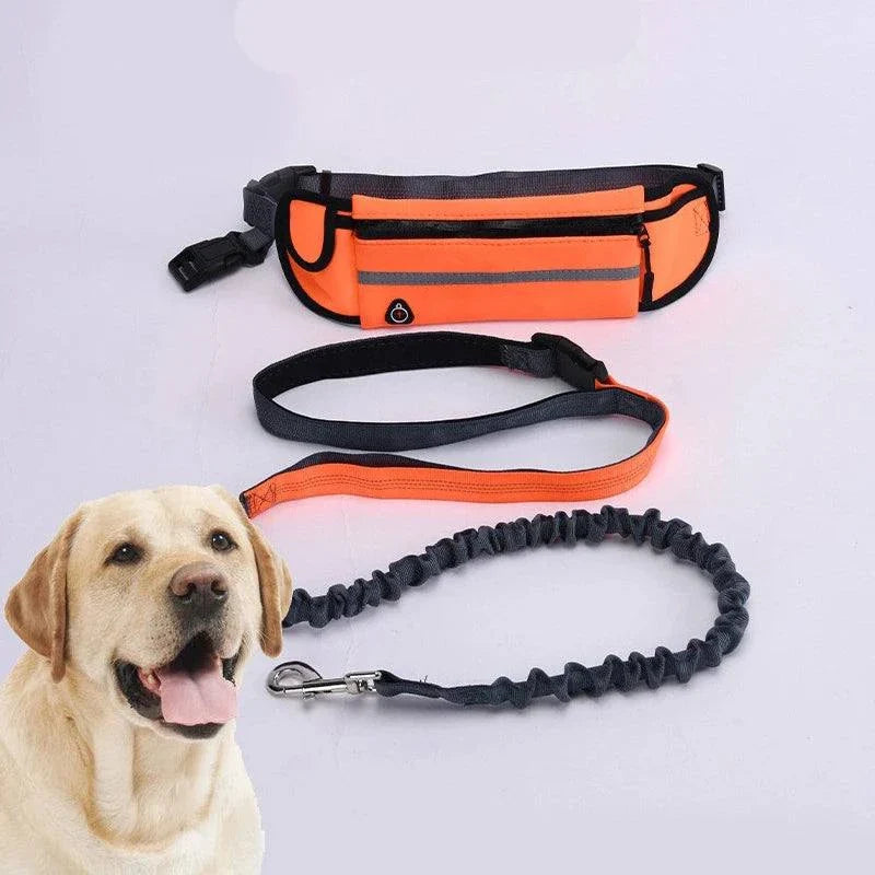 Hands-Free Reflective Dog Leash – pet owner jogging with a dog, featuring an adjustable waist bag and elastic leash