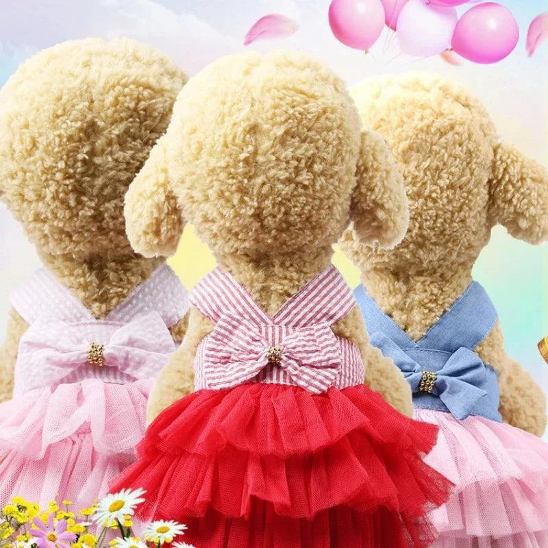 Cute Chihuahua princess pet clothes with lace skirt, perfect summer dress for small dogs and cats.